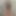 CockGobbler95