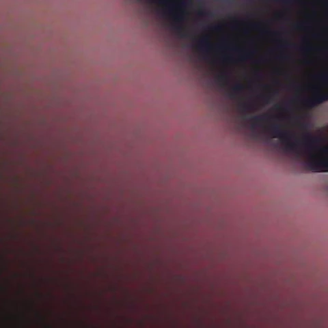 9inchbrppole