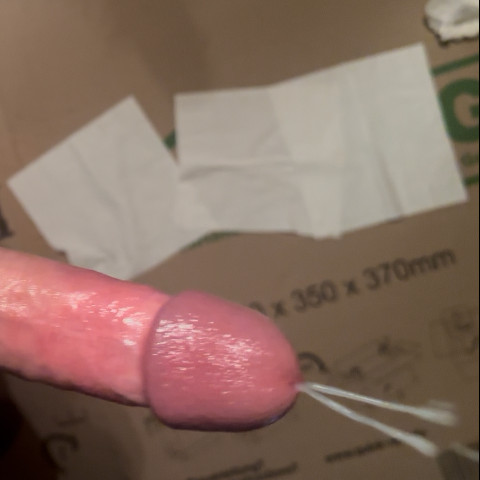 ImmobileMount69
