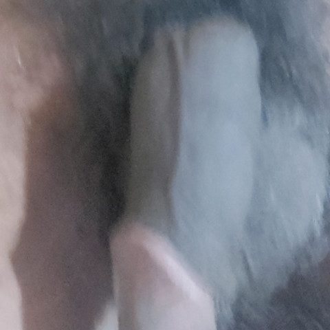 srikitheblue