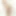 66dollz