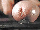 wetcock