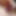 chubbytinycock