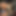 SpiritedNoon67