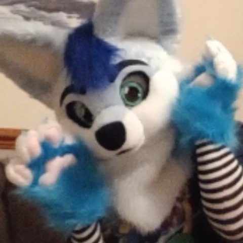 BlueHusky98uwu