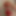 misterbj88