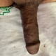 JoyfulHolder91