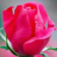 RCRN21HD