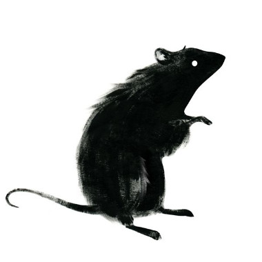 blackrat