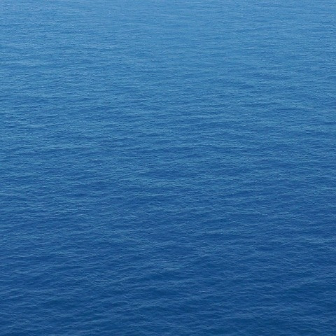 maravic