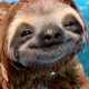 amontep42