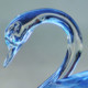 glassswan