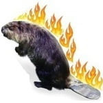 Flaming_Beaver