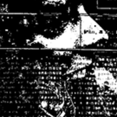 moitoi123