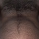 Bear_mmm