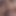 syndication1337