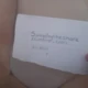 songsbytheshore