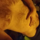 RaulDukeStgt
