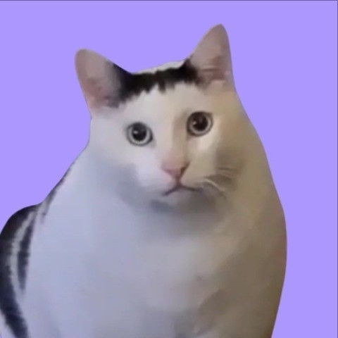 Cutie_Bubu