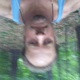 Throbbingmember1209