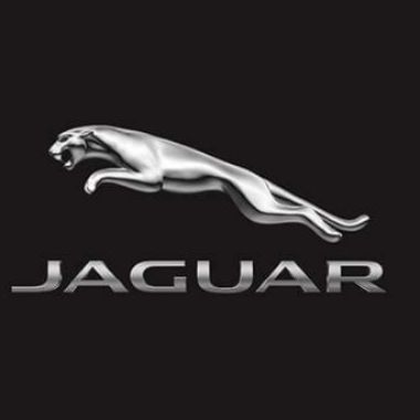 Jaguarzanity