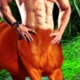 HalfStallion