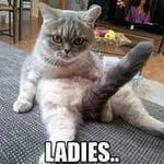 Xhamster profile picture for @detest