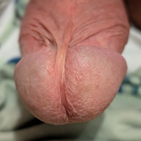 Halloholli1