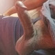 batang_kuat