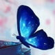 anna_km93