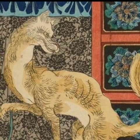 kyuubinokitsune