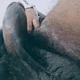 yeahItsHeavyandThick