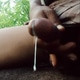 Sdlyasppsa
