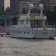 rassi662