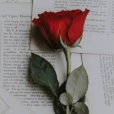 Sohail755
