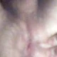 titetite1234