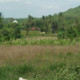 AliemAbdul