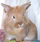 Xhamster profile picture for @actually