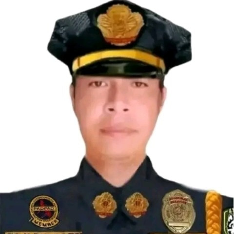 Ryanpoging