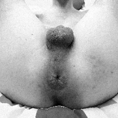 FFAlex99