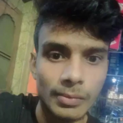 IntenseBiscuit9