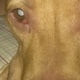 sweetpit0920