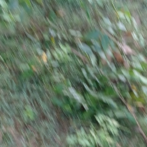rajfzb5