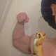 Ahunch0005