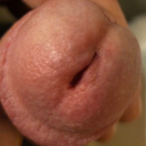 watchmewank14456
