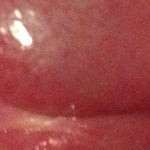 Poussemousse