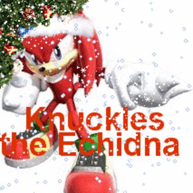 KNUCKLES2018