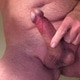sinleop