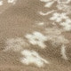 Cintes