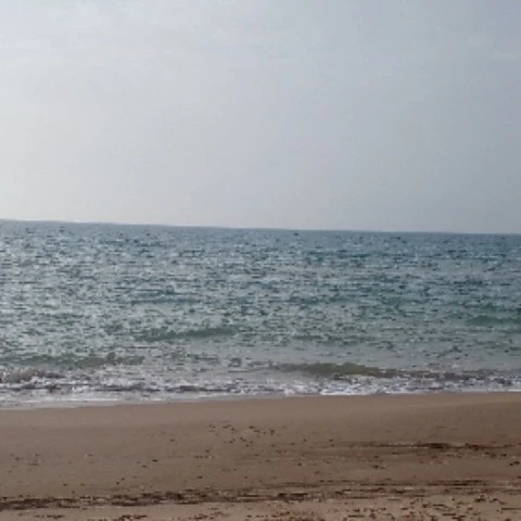 Zalgou27